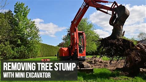 mini digger stump removal|Removing a tree stump with a Kubota Mini Excavator .